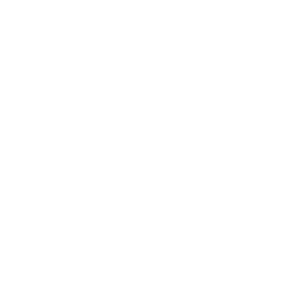 Hermes Agent logo